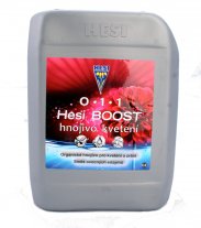 Boost 10L 