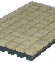 Grodan sadb.kostka 36*36*40mm vč.sadbovače   
