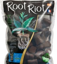 Root Riot 100, samostatná RR kostka bez sadbovače, 100ks 