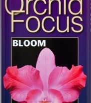 Orchid Focus Bloom 1000ml 