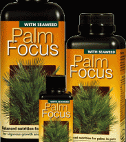 Palm Focus 100ml 