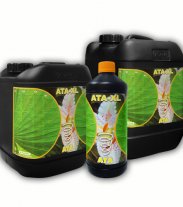 ATA-XL 1L   