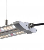 Hortimol T-LED 40W, 60cm  